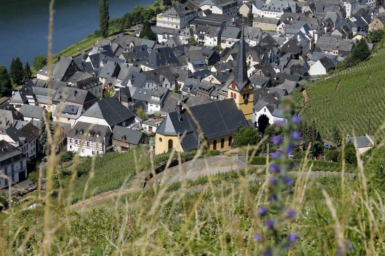 Ürzig Ferienhaus Moselblick Mit Kostenfreien Oepnv-Ticket מראה חיצוני תמונה